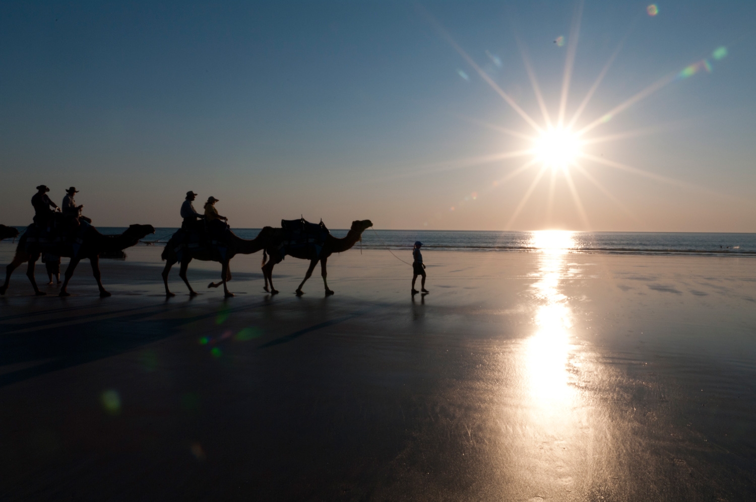 Sunset Camel Ride