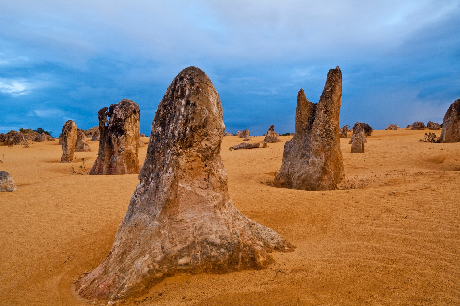 The Pinnacles Of Nambung