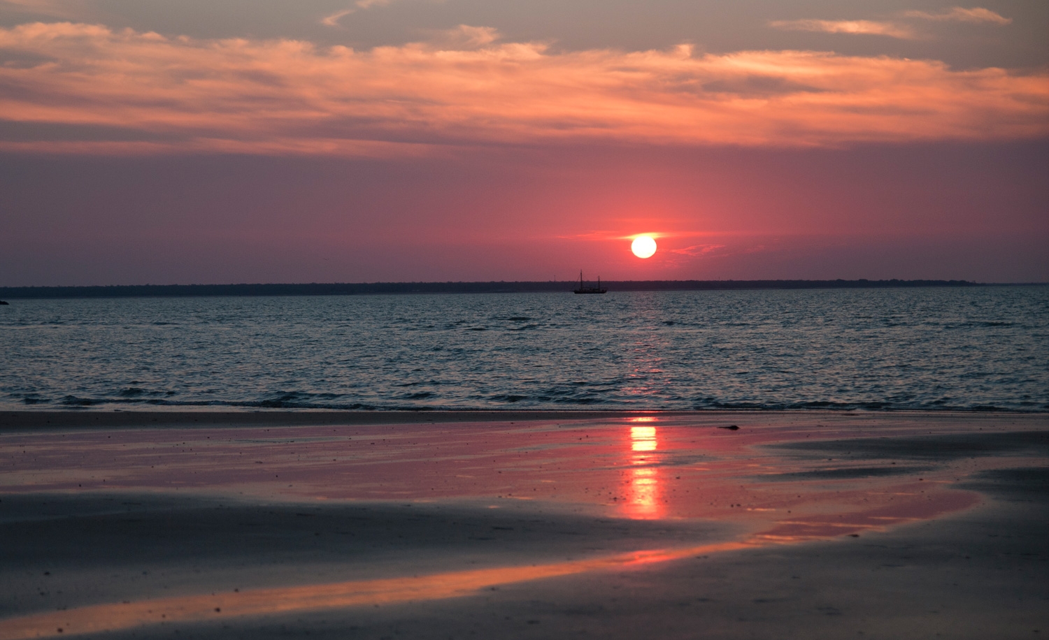 A Darwinian Sunset