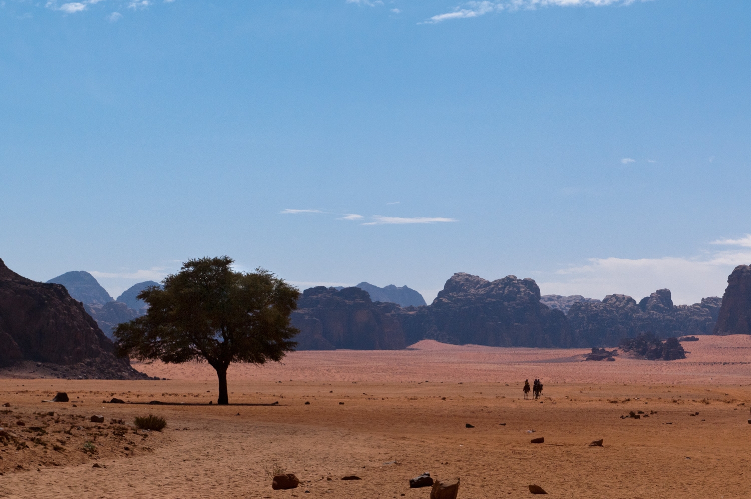 A Desert In The Distance