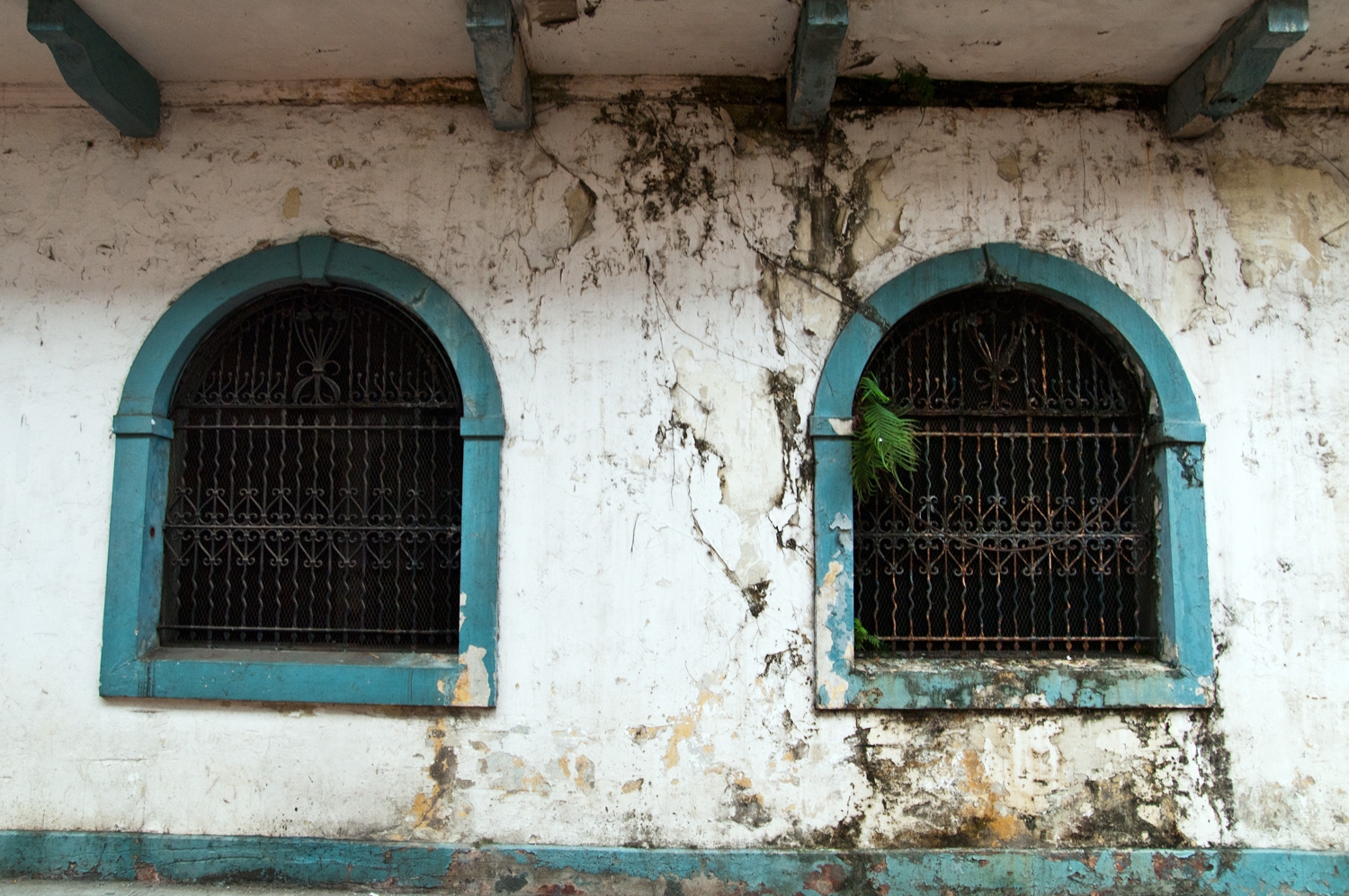 A Window To Panama