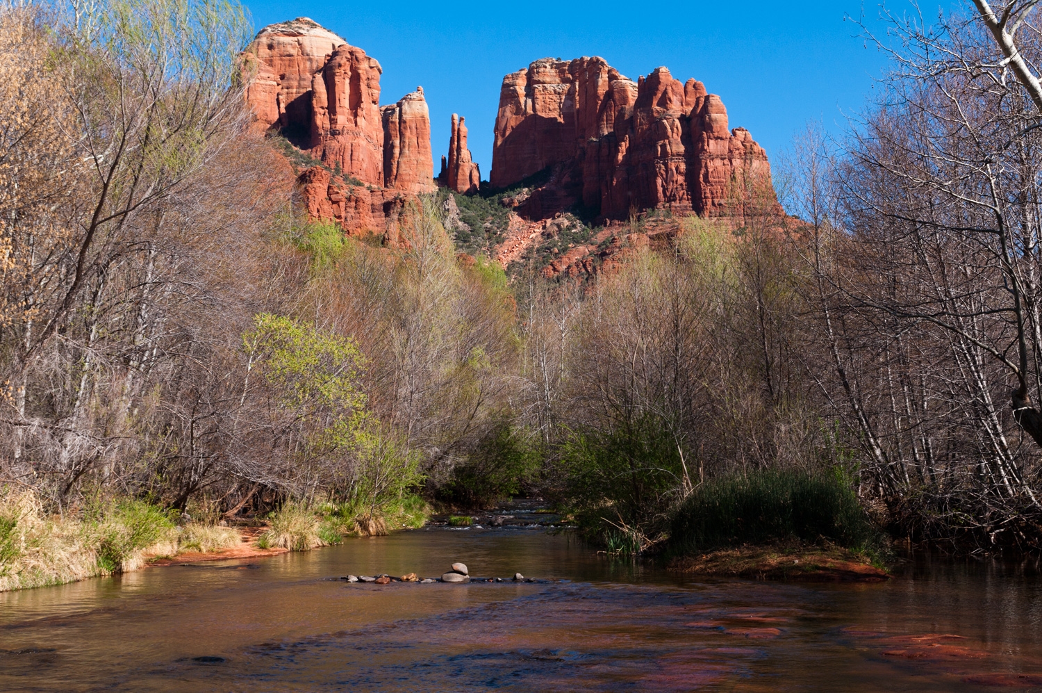 Cathedral Rock
