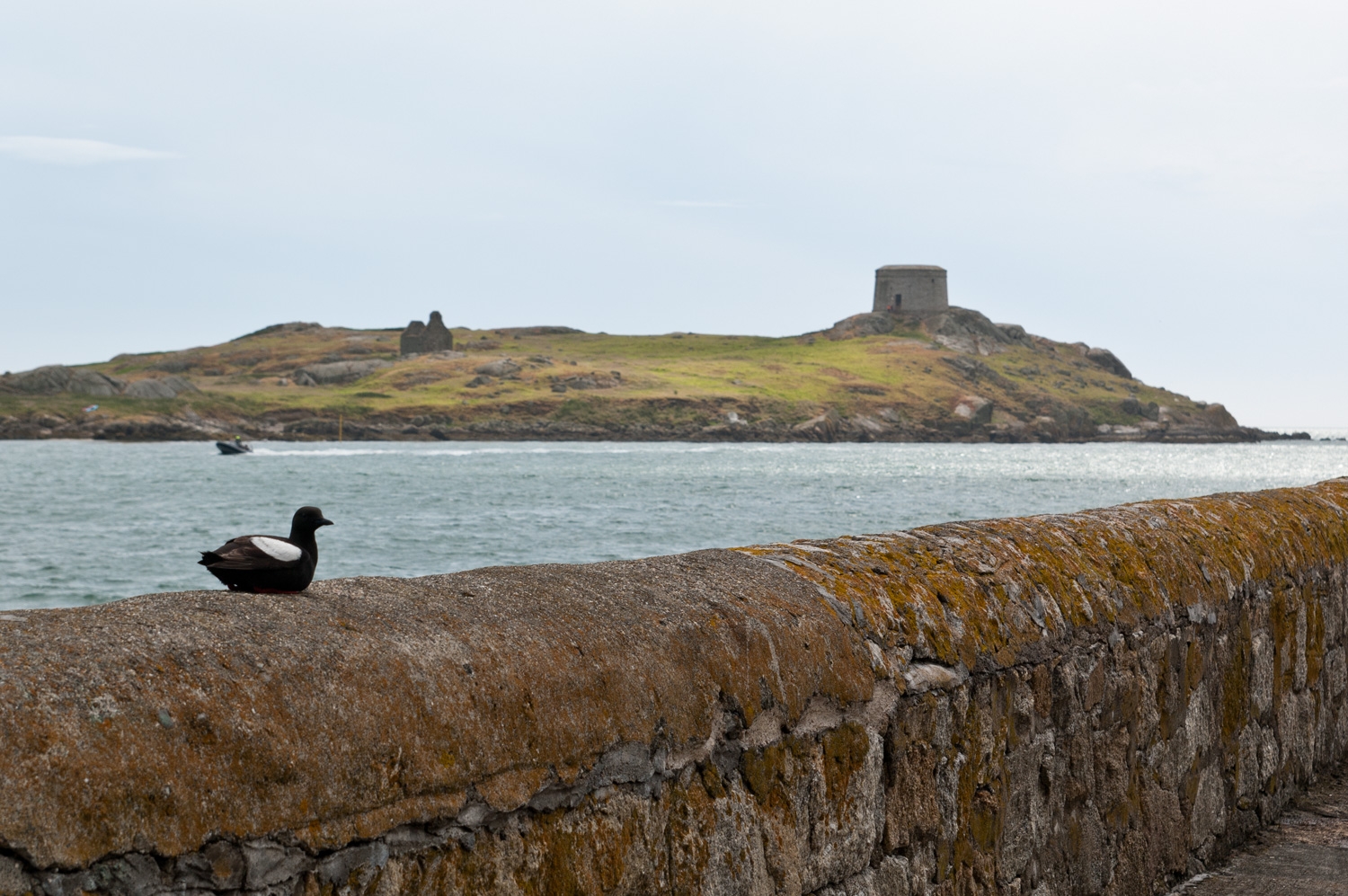 Dalkey Island