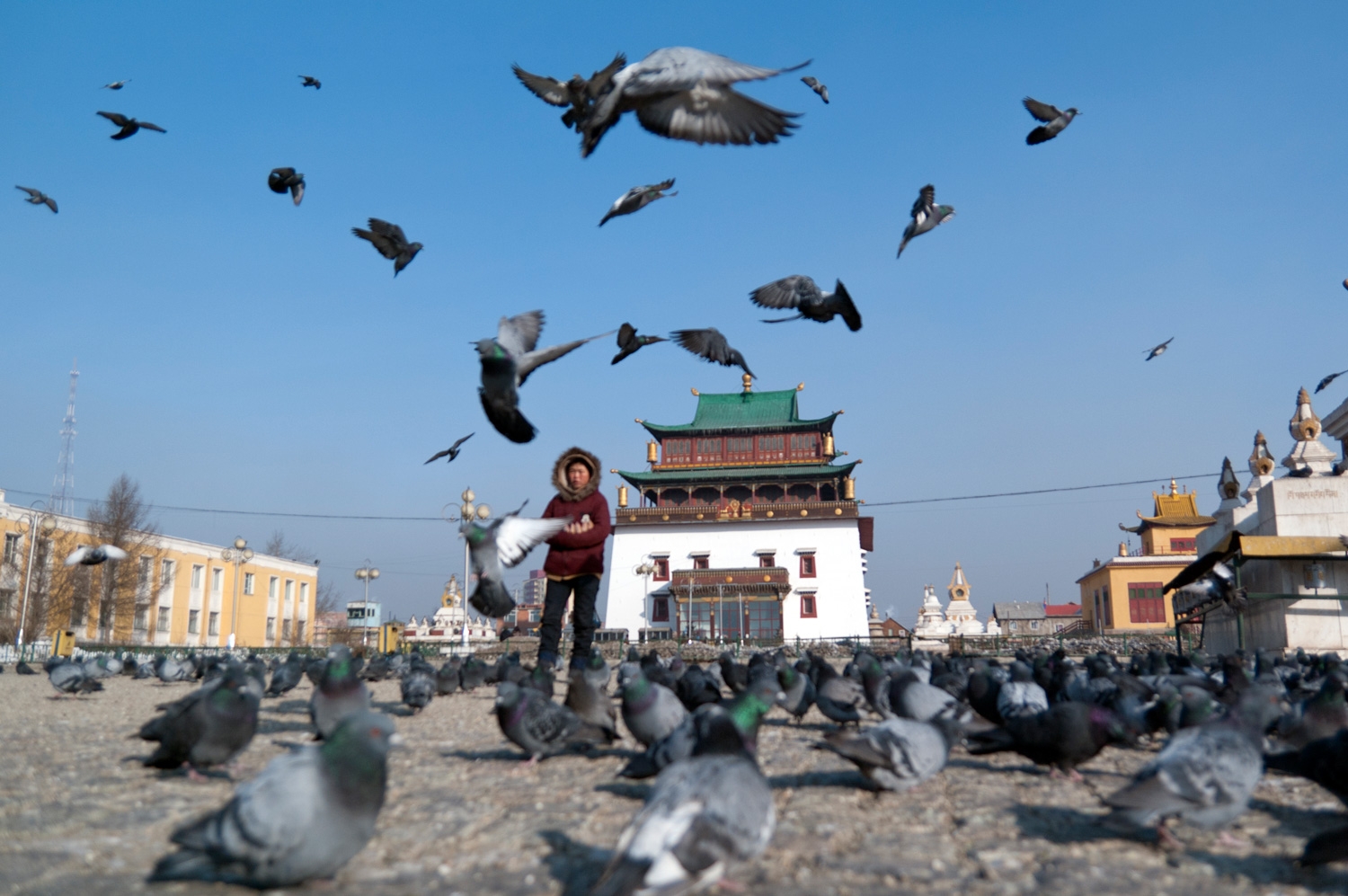 Feed The Birds, Tugriks A Bag