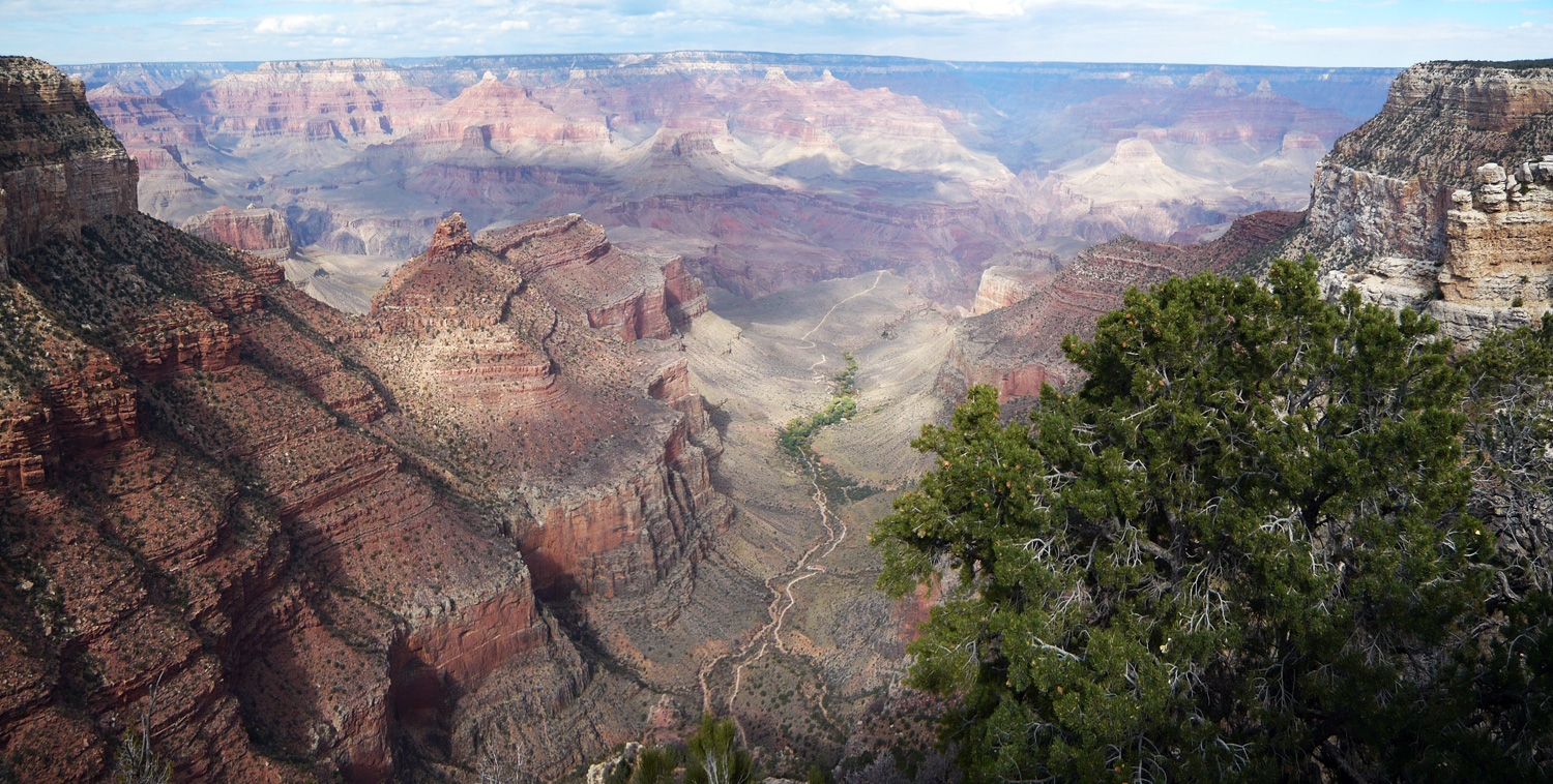 Grand Canyon View Of Bright Angel Trail