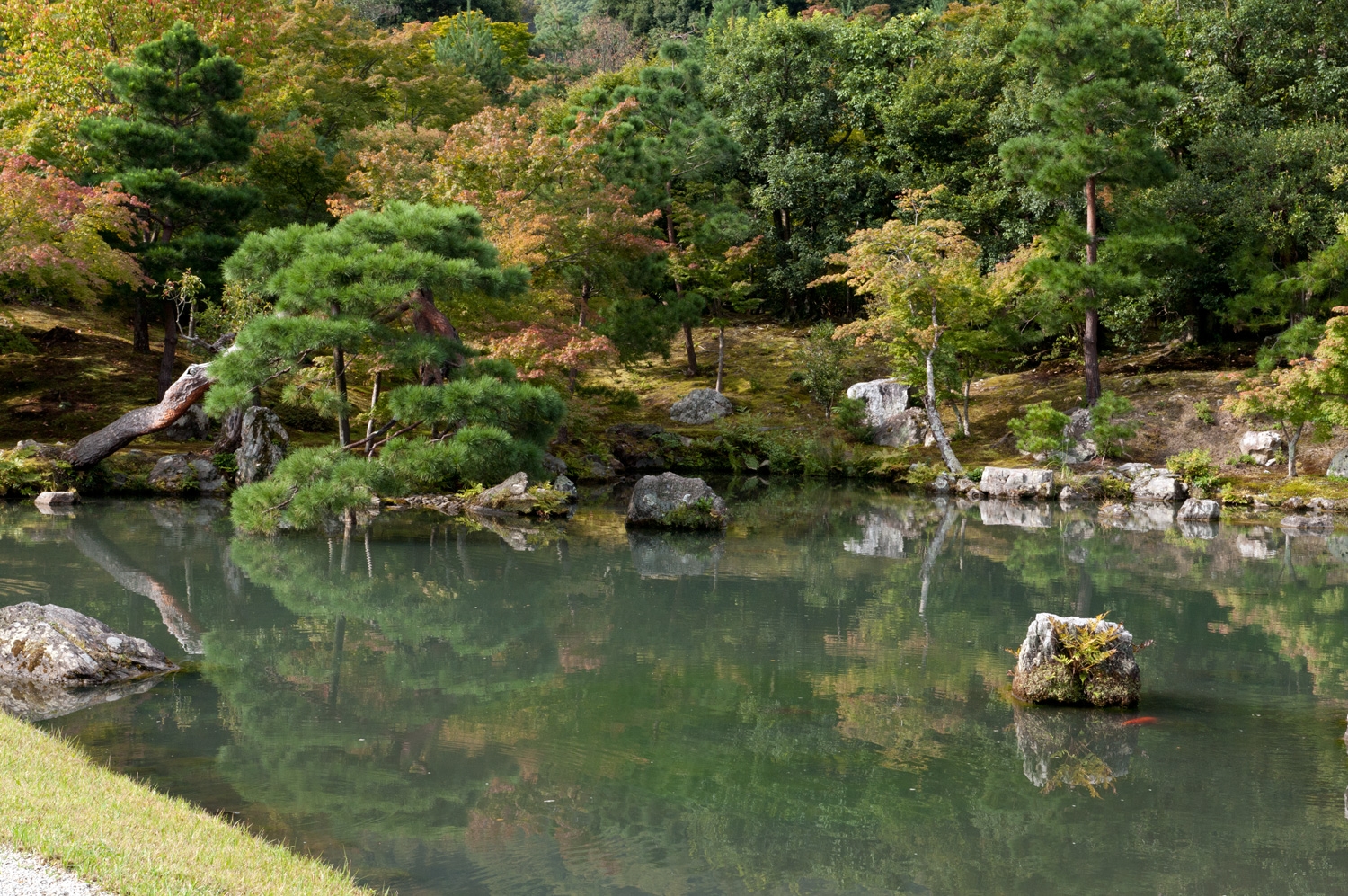Japanese Garden At Tenryu-ji Temple