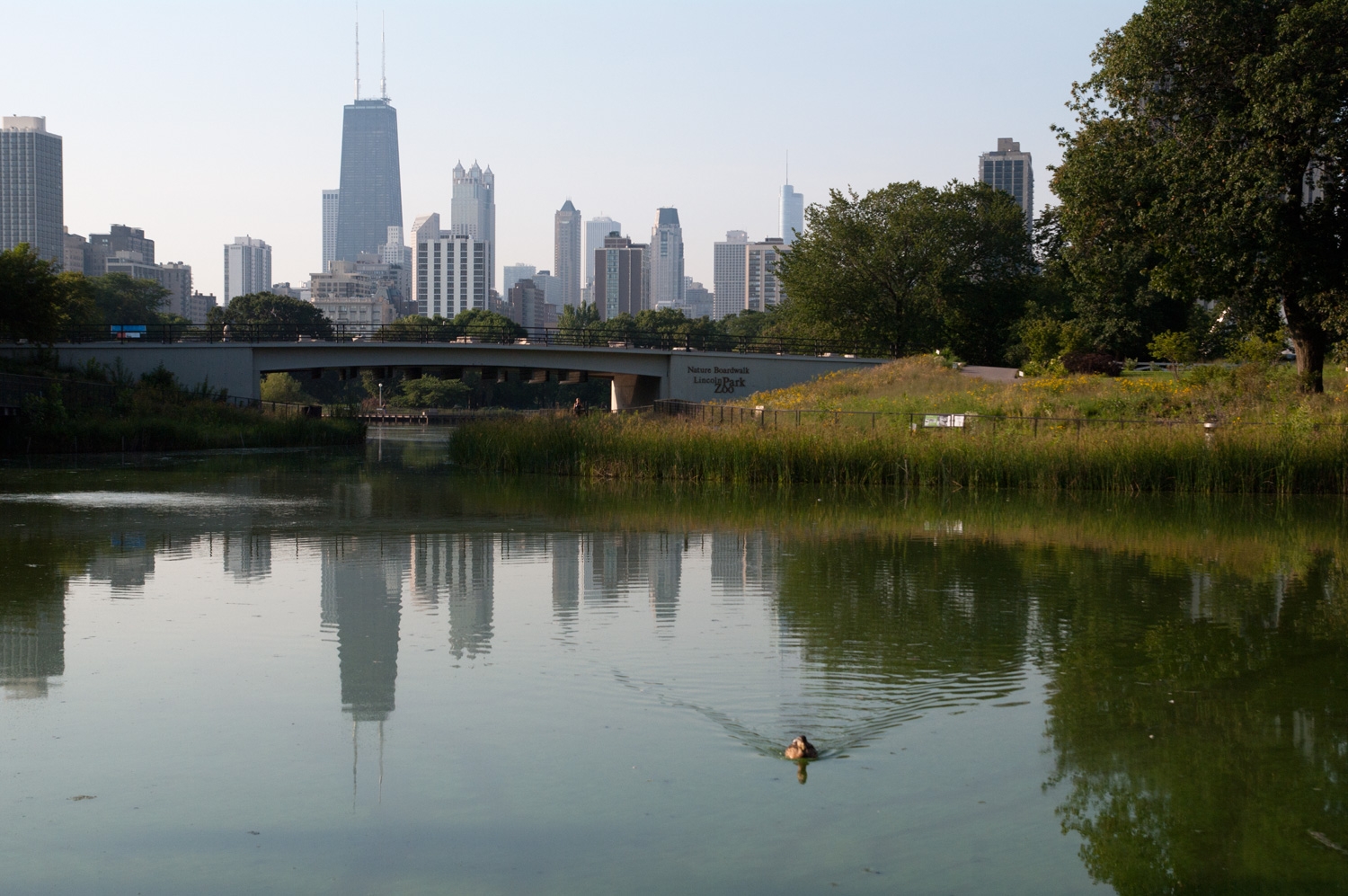 Lincoln Park South Pond