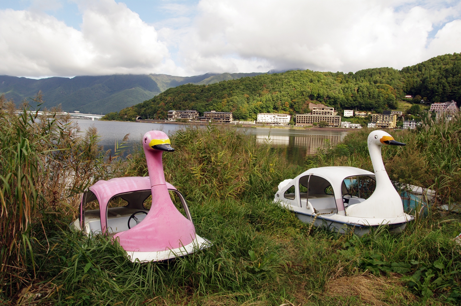 Nesting Swan Boats 