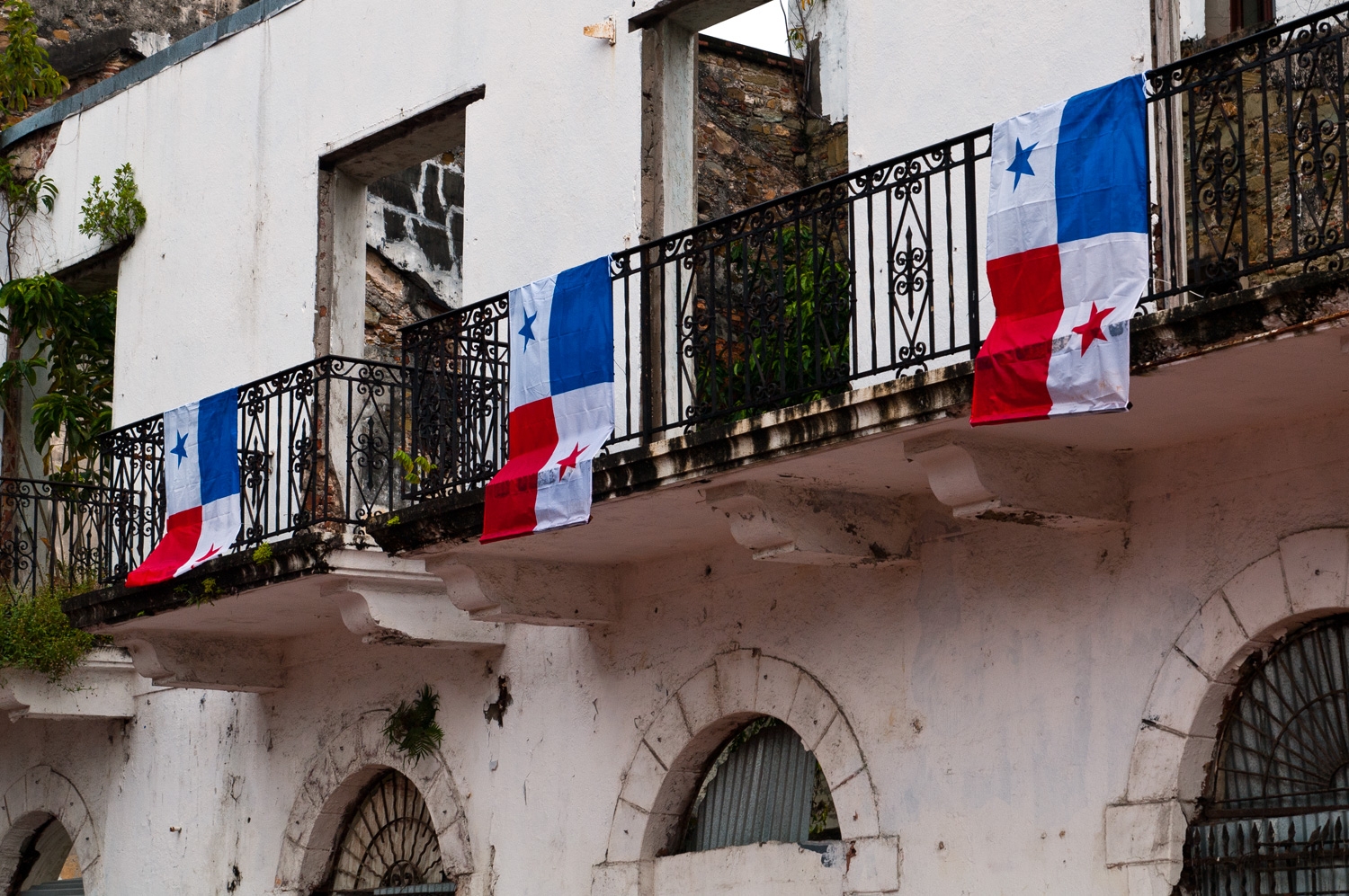 Panamanian Country Pride