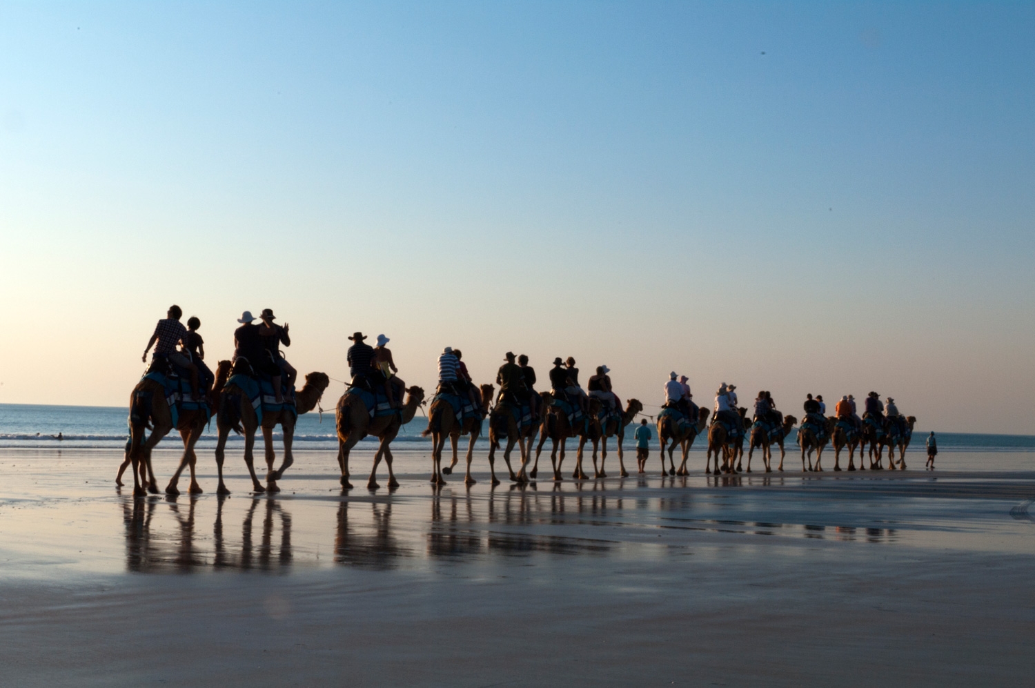 Sunset Camel Ride