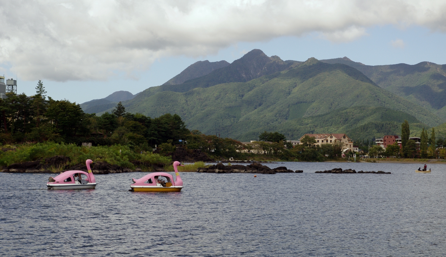 Swan Boats On Lake Kawaguchiko