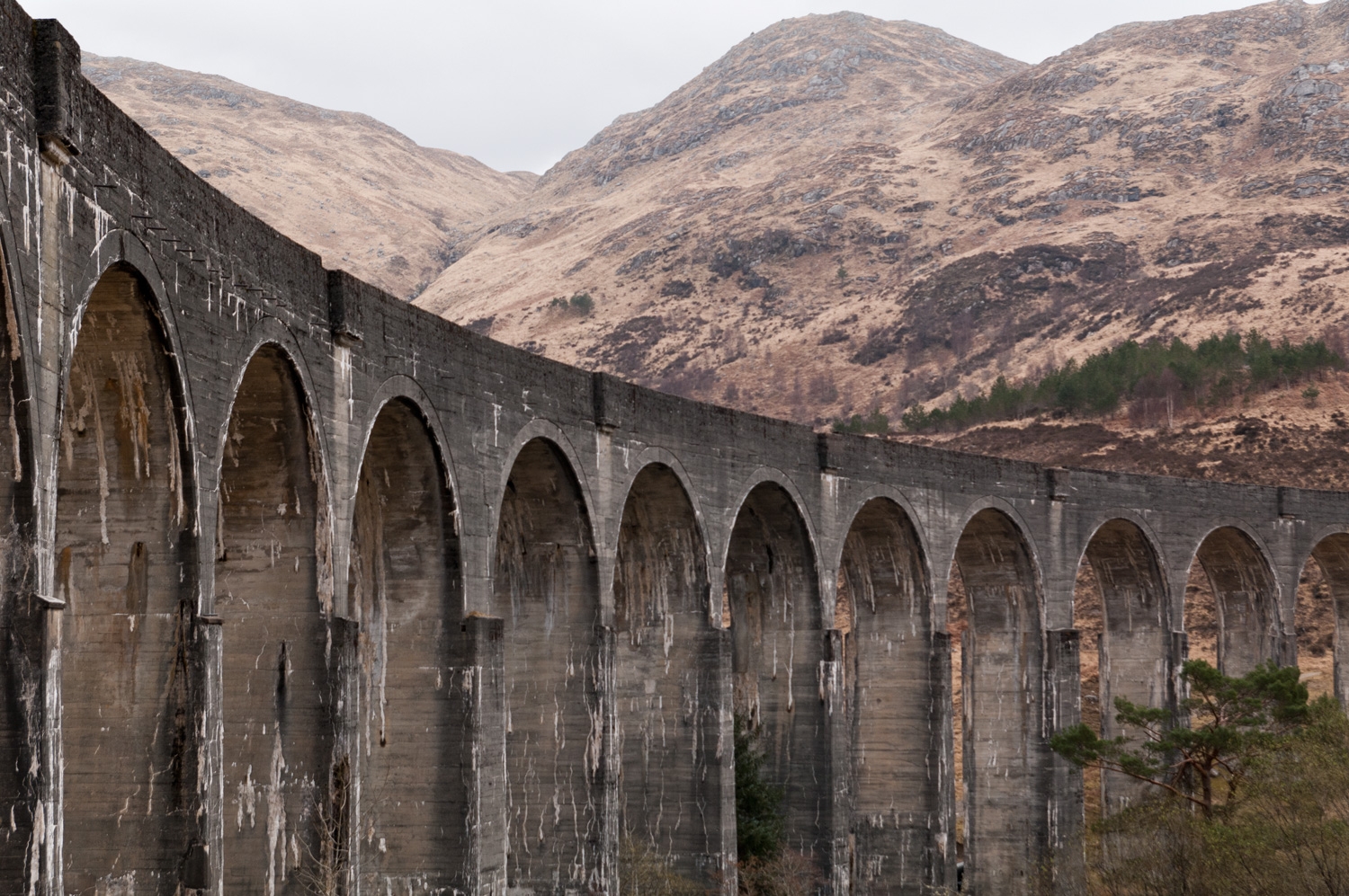 The Bridge To Hogwarts