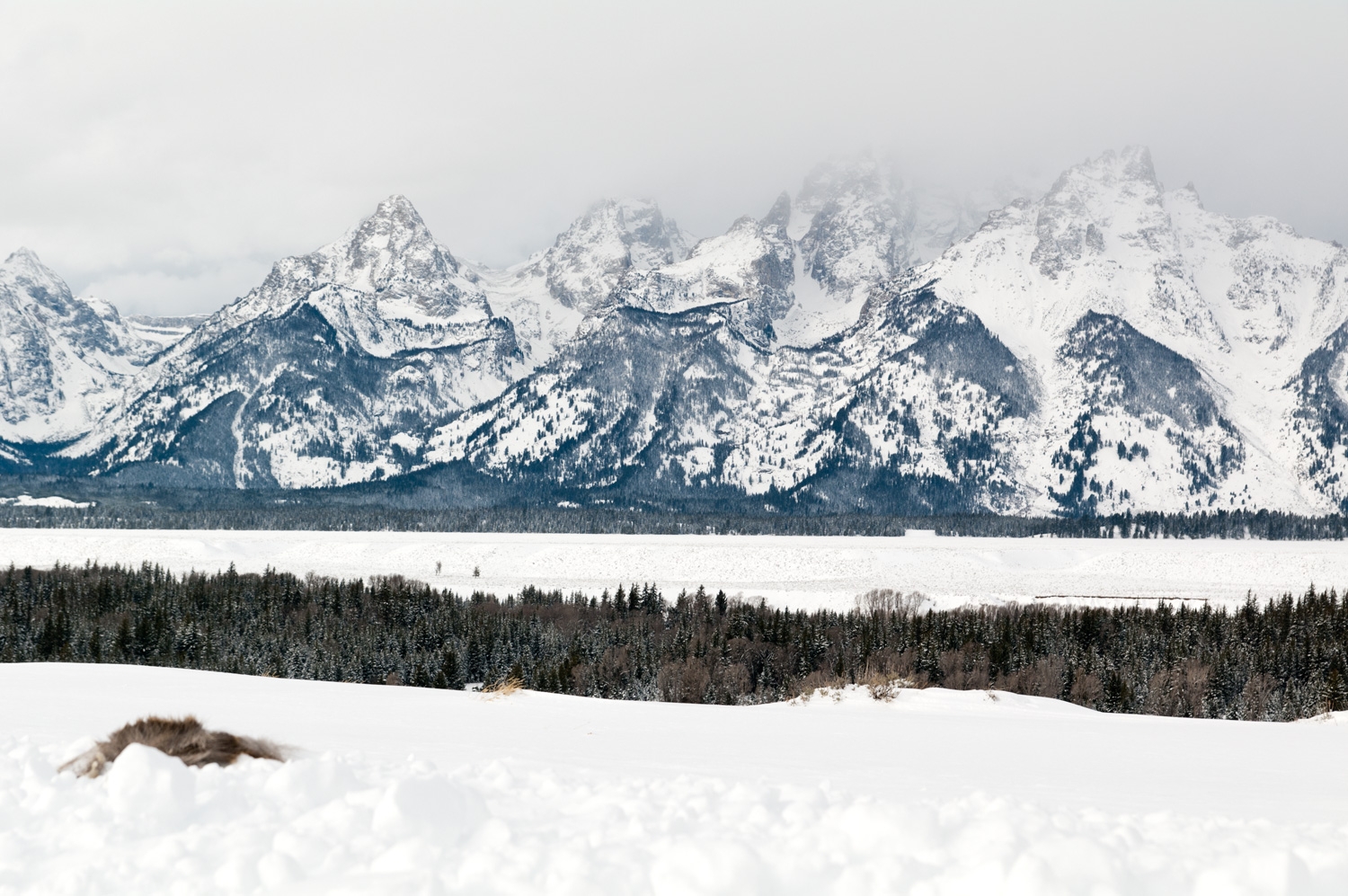 The Grand Tetons