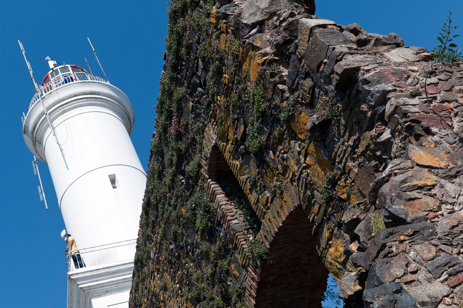 The Lighthouse