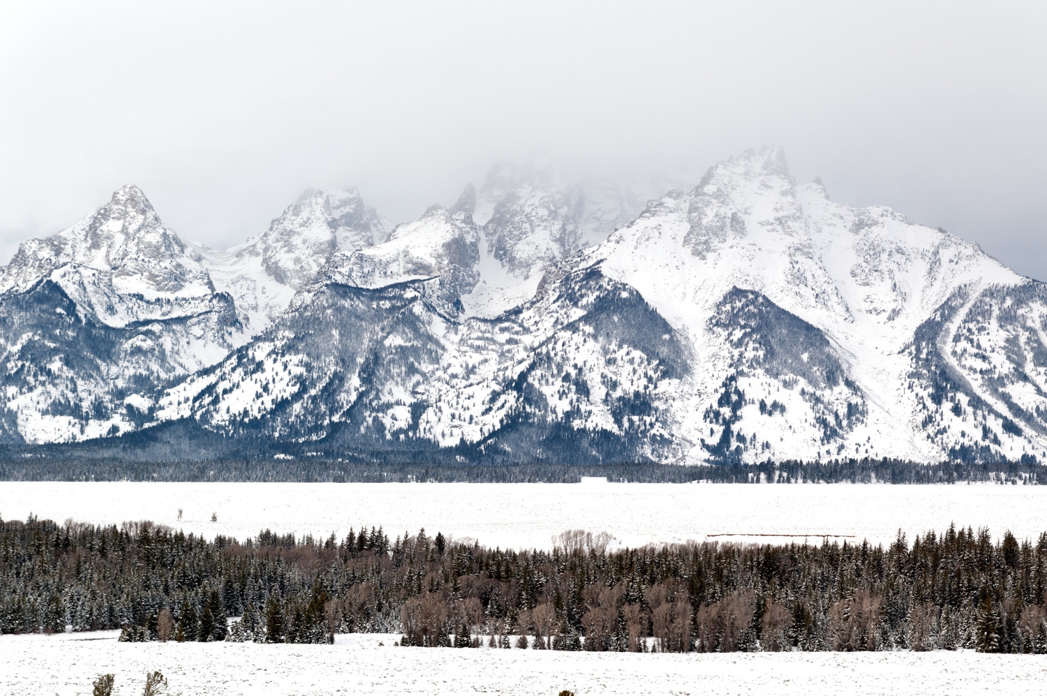 The Tetons