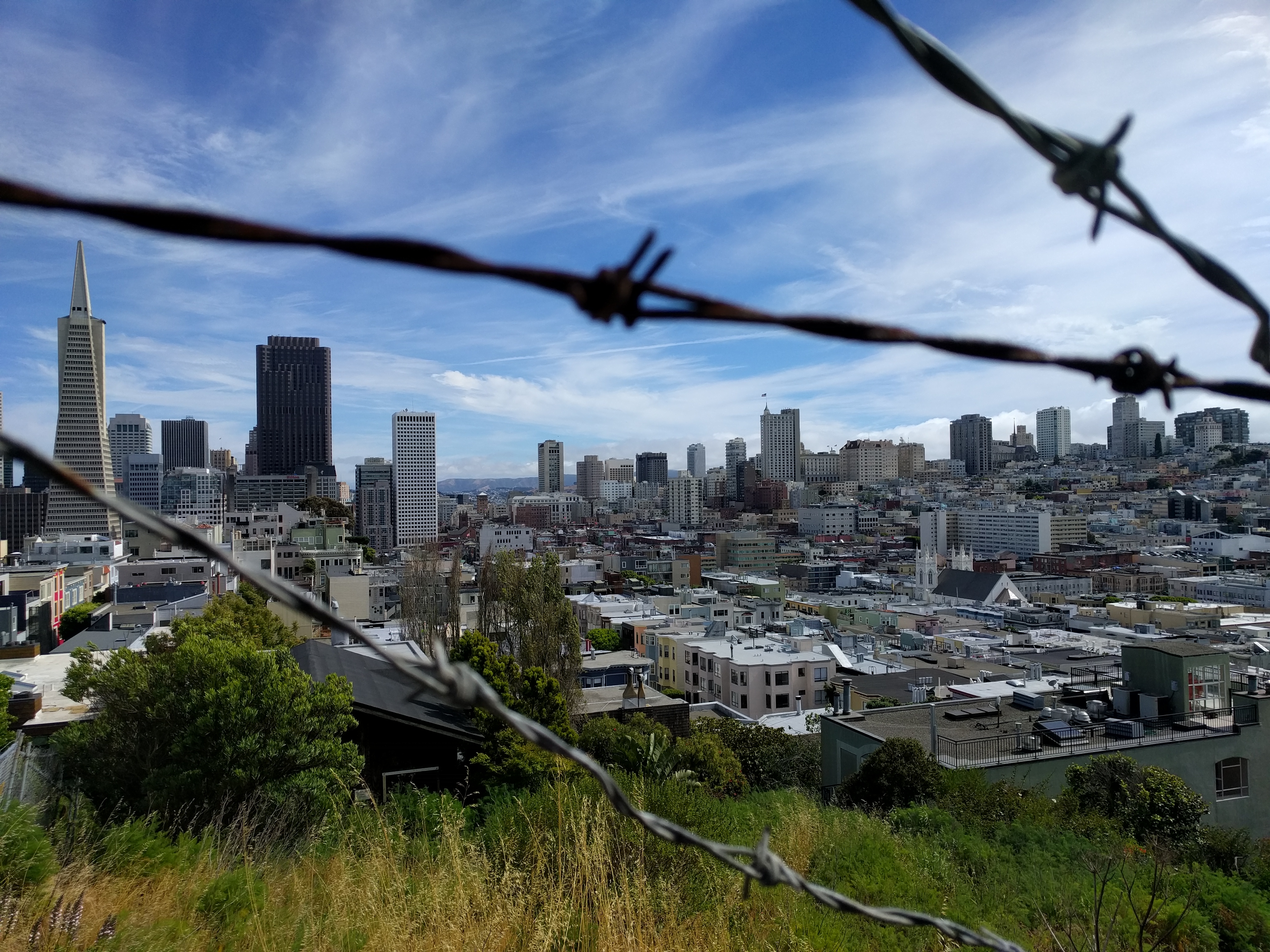 The Wire: San Francisco