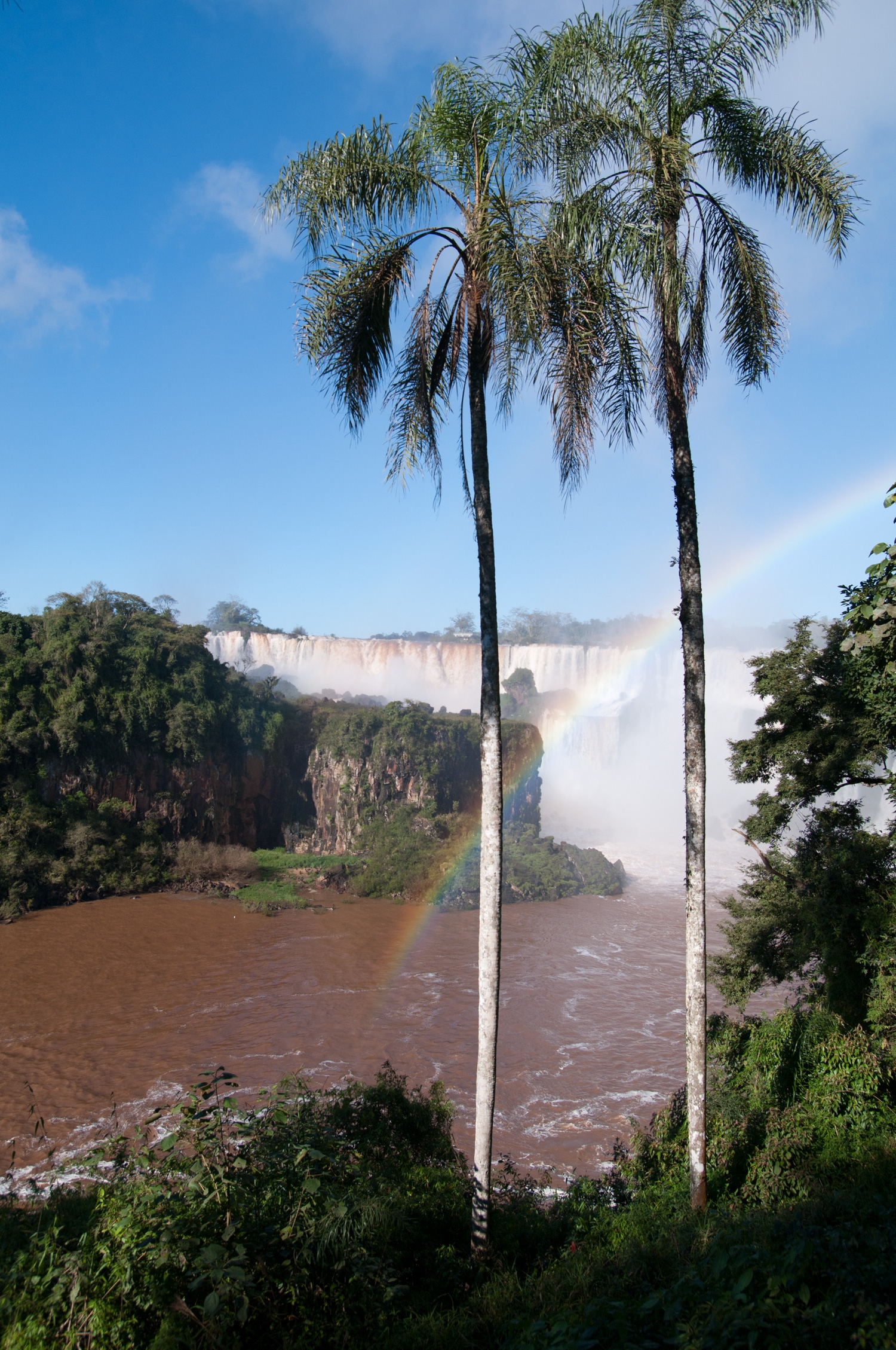 Waterfalls Under Rainbows Under Palms