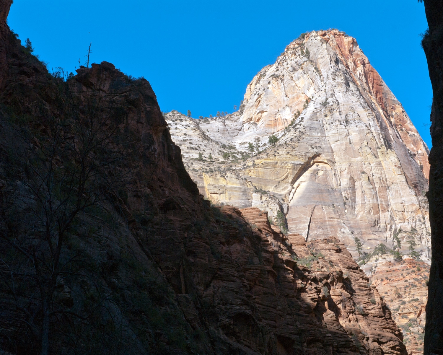 Zion Peaks