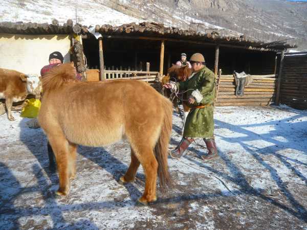 Mongolia