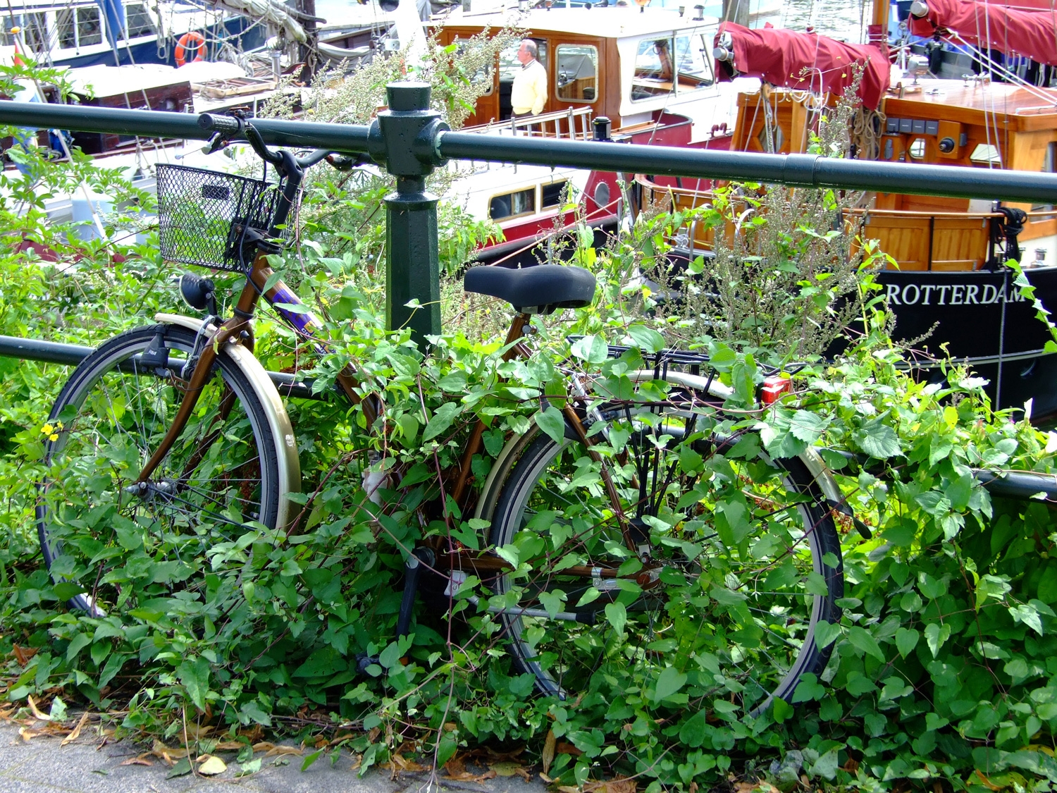 Bike In Disguise