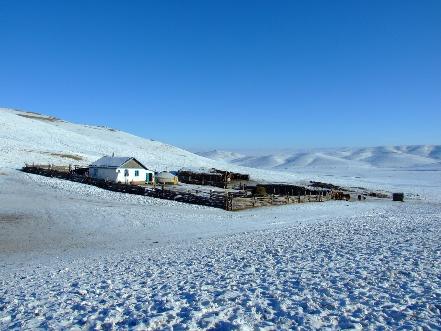 Family Farm In Gorkhi Terelj