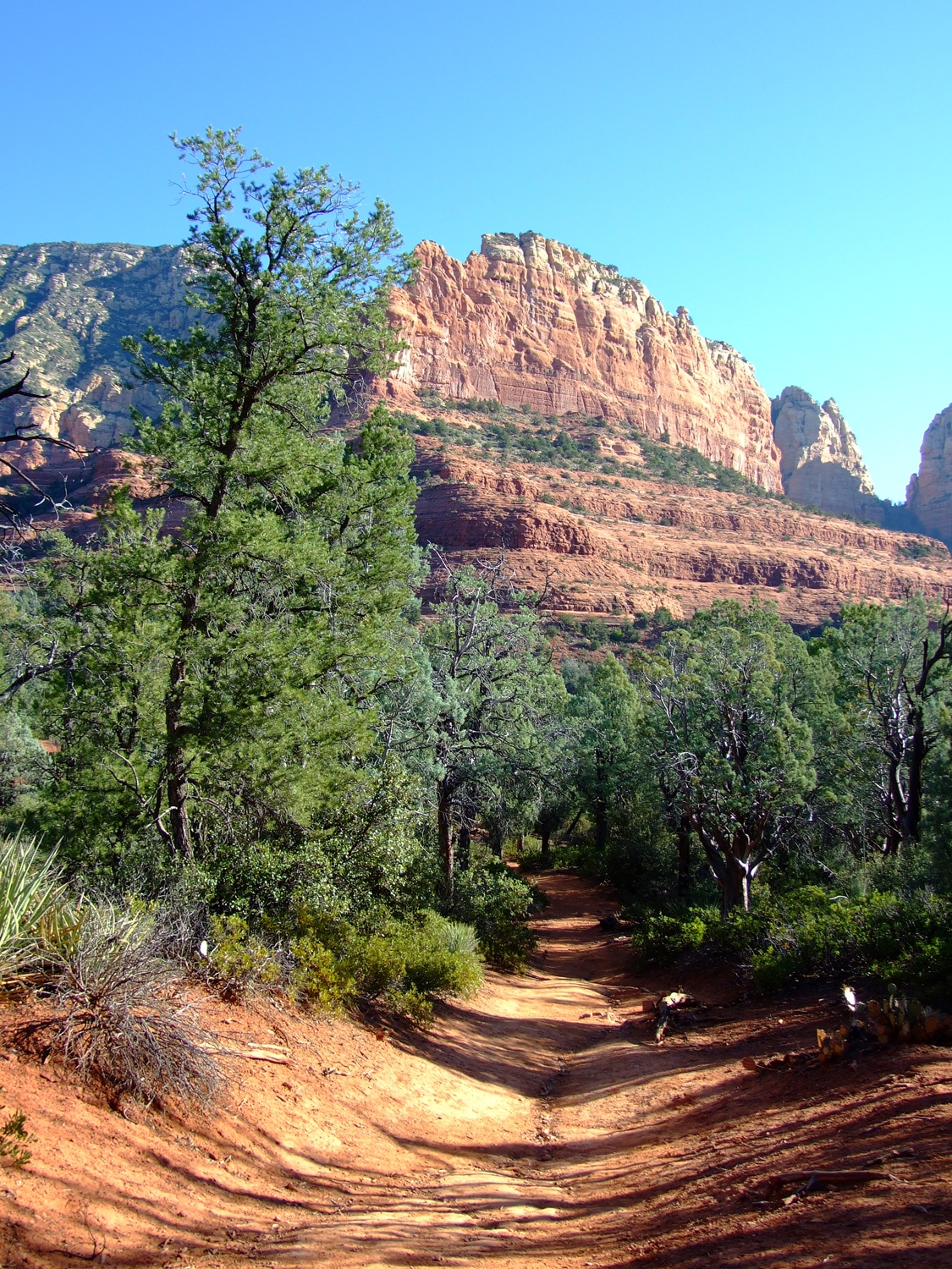 Hiking Among The Red Rocks