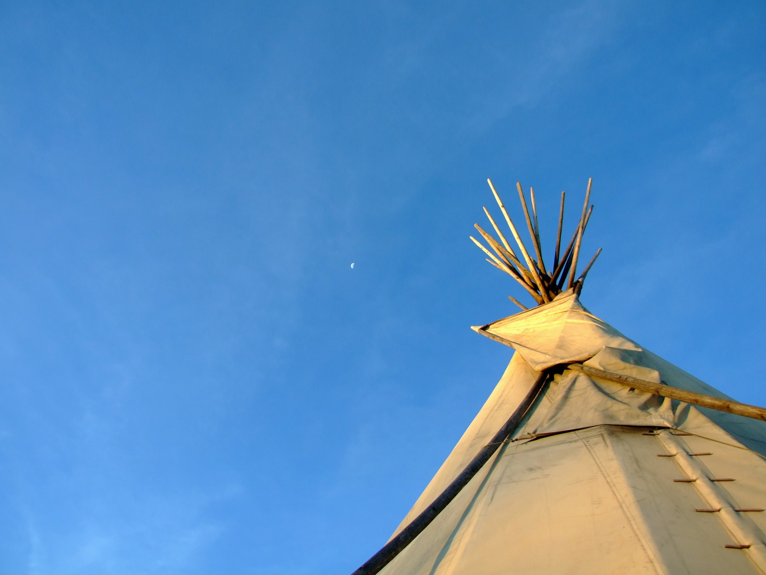 Marfa Tipi Top