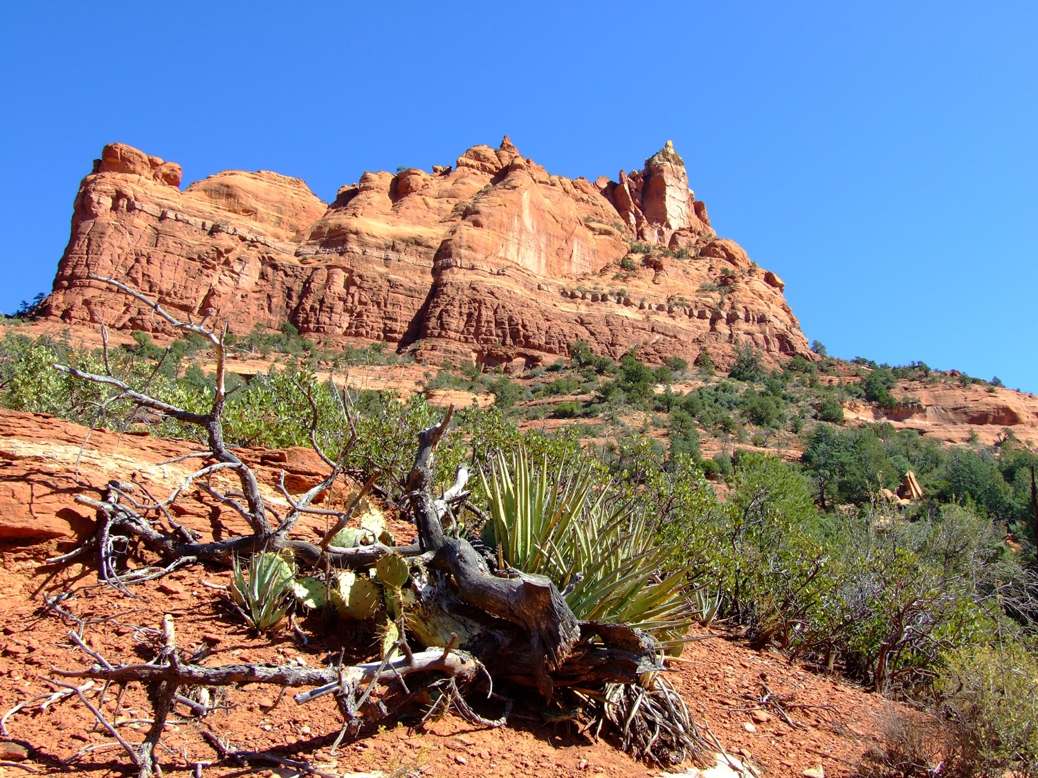 Sedona Hiking Amongst The Red Rocks