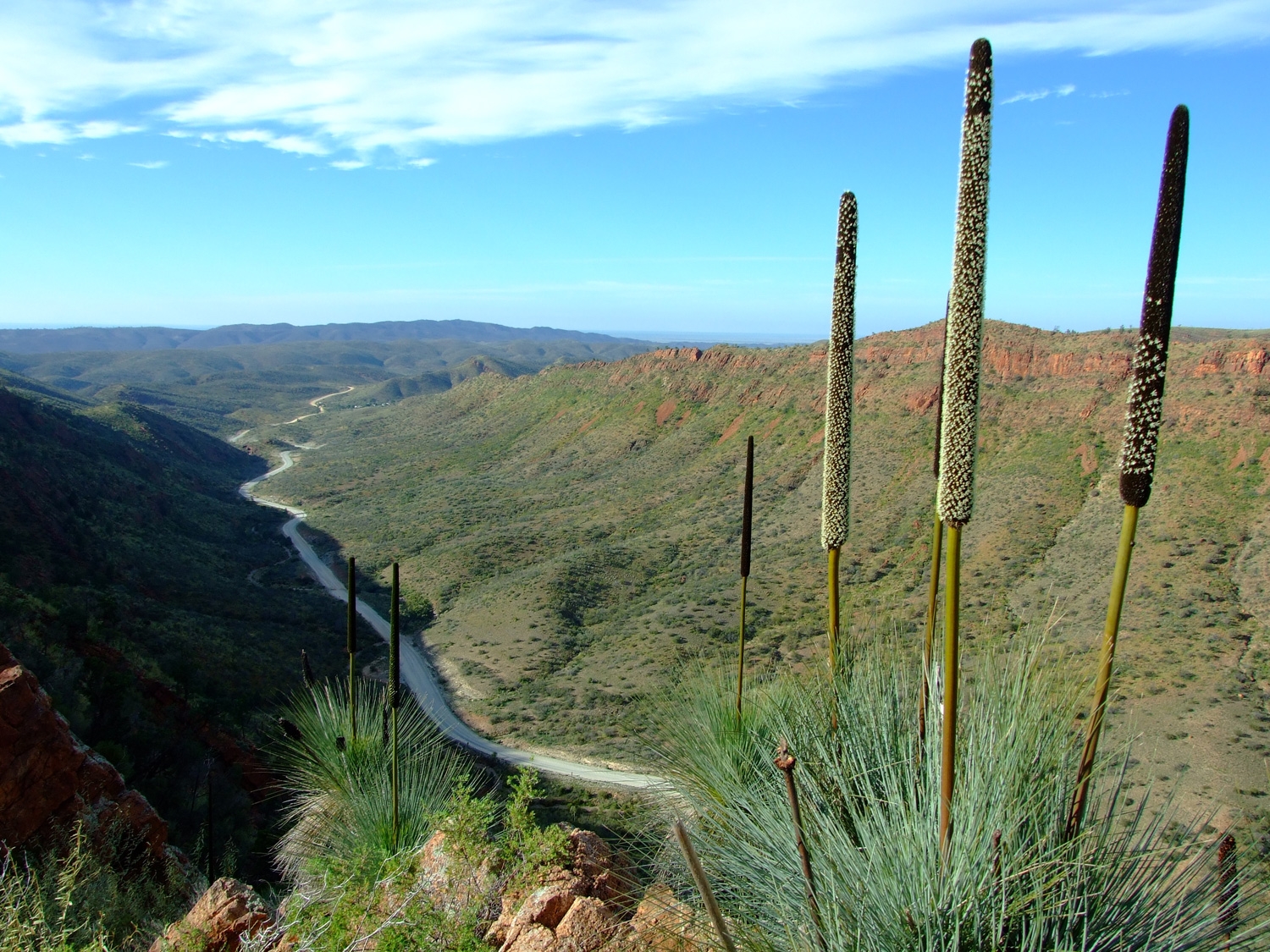 The Road To Arkaroola Village