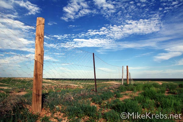 Australia Photography Outback Dingo Fence