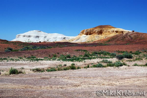 Australia Photography Outback Two Dogs Breakaways