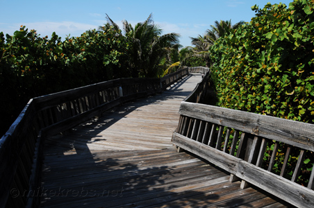 Boardwalk photo at the park