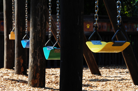 Park photography