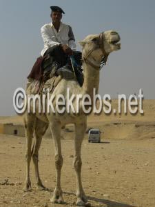Egyptian security